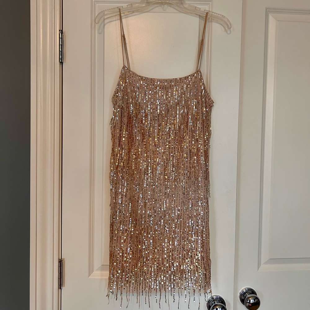 Sequin Fringe Hem Mini Dress